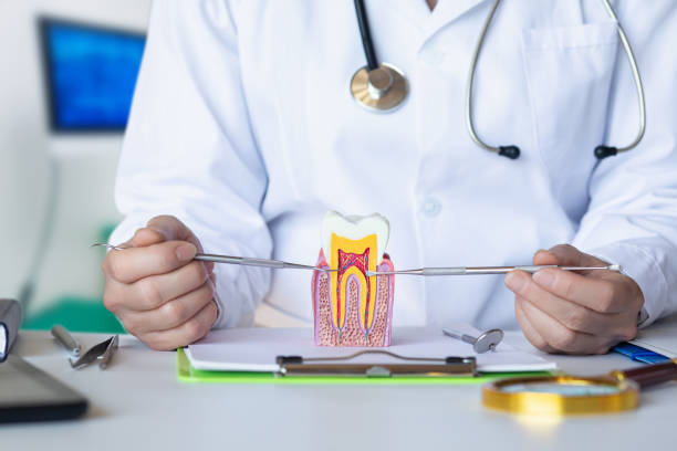 Best Emergency Root Canal Treatment in Franklin Center, NJ